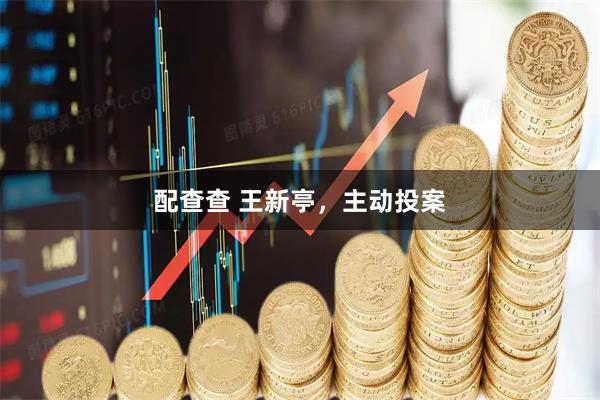 配查查 王新亭，主动投案