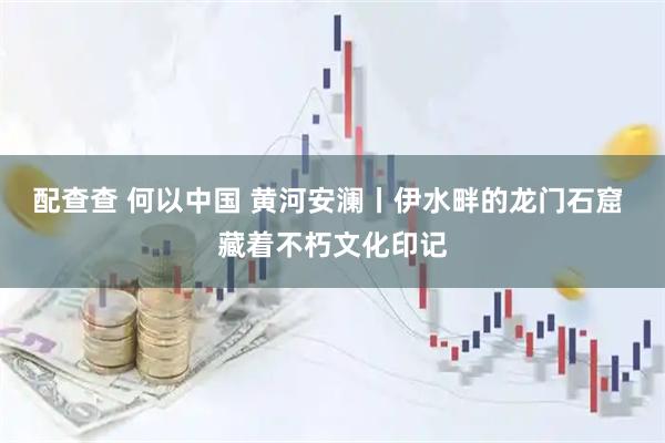 配查查 何以中国 黄河安澜丨伊水畔的龙门石窟 藏着不朽文化印记